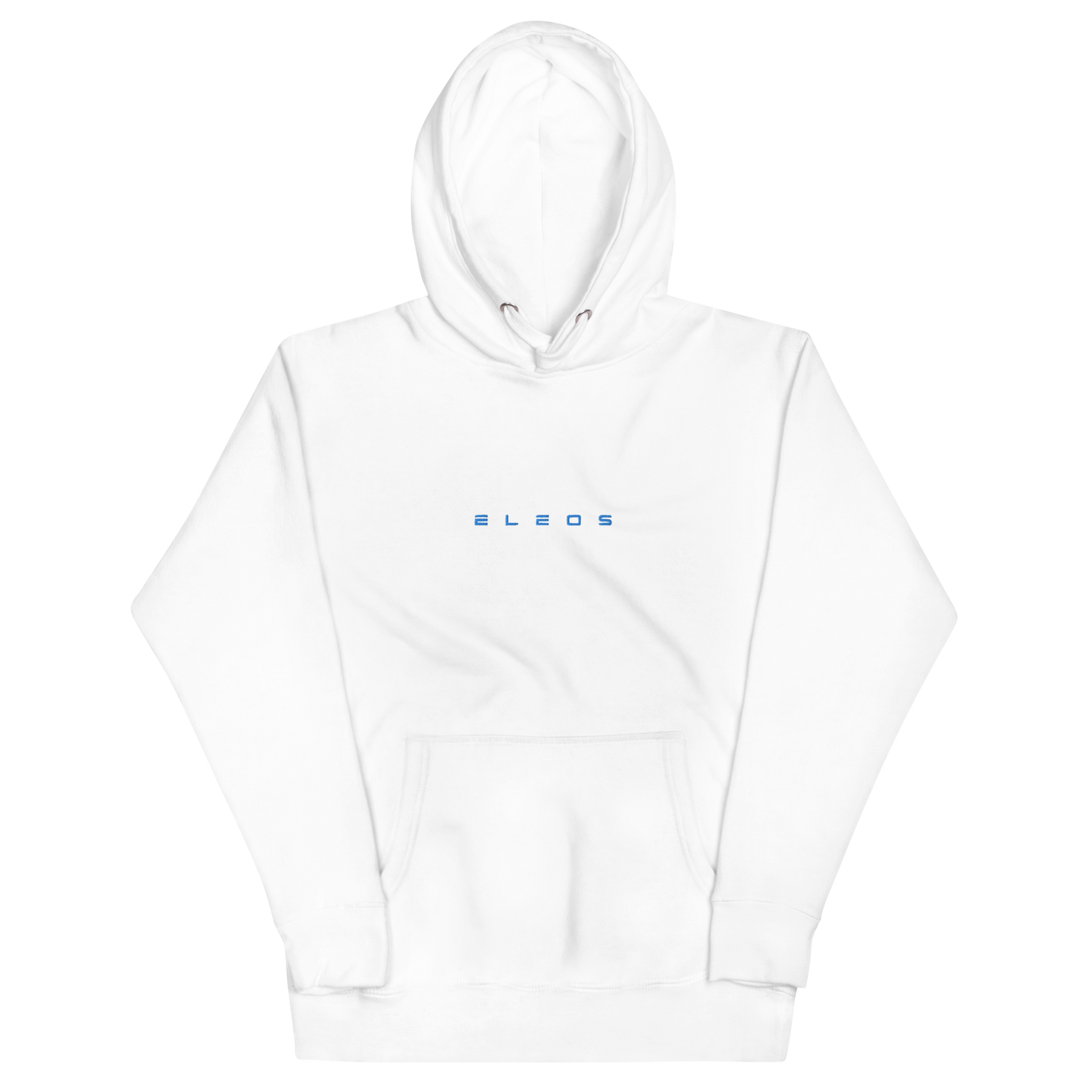 "Disciple of God" Hoodie